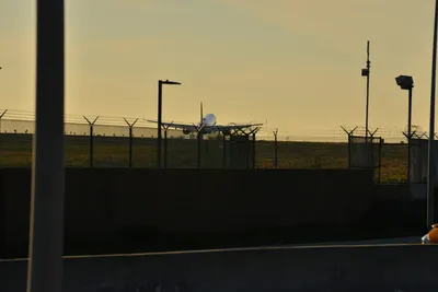 DSC_5699 (Large).JPG